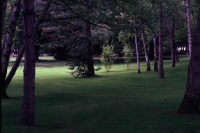 http://www.virguleflottante.com/files/gimgs/th-7_improvisades-II (13).jpg